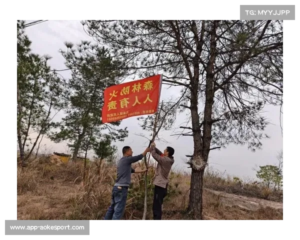 森林防线漏洞频现由攻转守失衡成隐忧本季已丢8球需紧急改进纪律