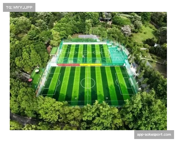 上海发布市民运动球场建设导则，推动足球场地便民化